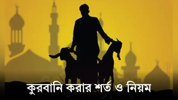 কে কুরবানি দিতে পারবে: যোগ্যতা ও শর্তাবলি