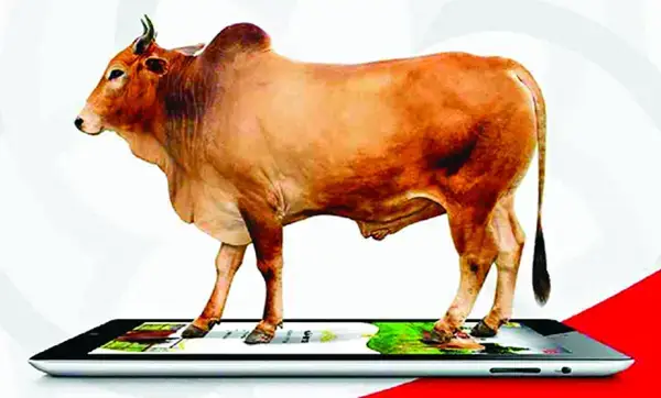 পত্রিকা