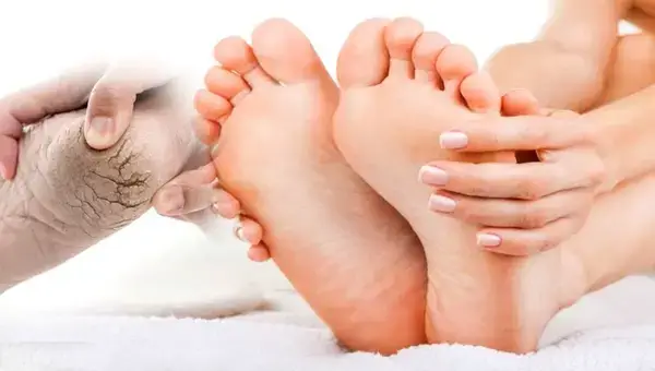 পত্রিকা
