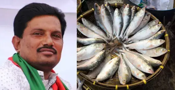 ভারতকে ট্রানজিট বানিয়ে পাচার হচ্ছে বাংলাদেশের ইলিশঃ নেপথ্যে আওয়ামী নেতা