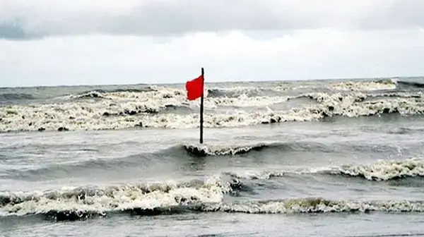 পত্রিকা