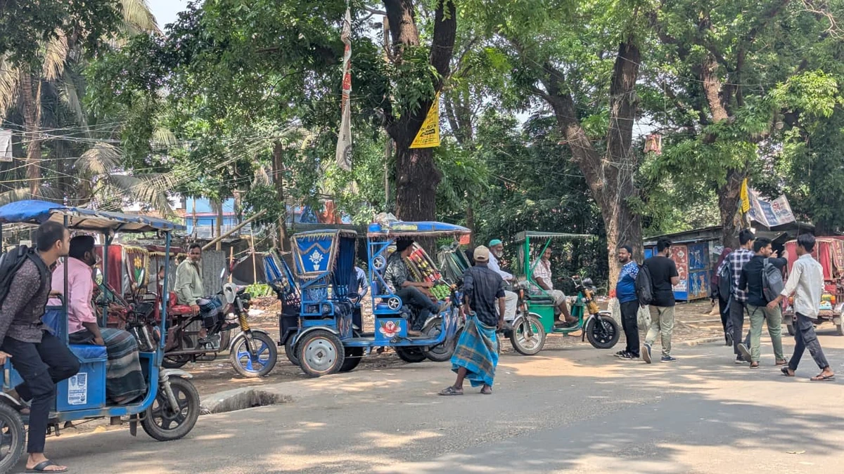 সিএনজি ভাড়া ছিল ৭ টাকা, আন্দোলনের পর সিএনজির জায়গা দখল করেছে রিকশা-এখন শিক্ষার্থীদের গুনতে হচ্ছে ১৫ টাকা