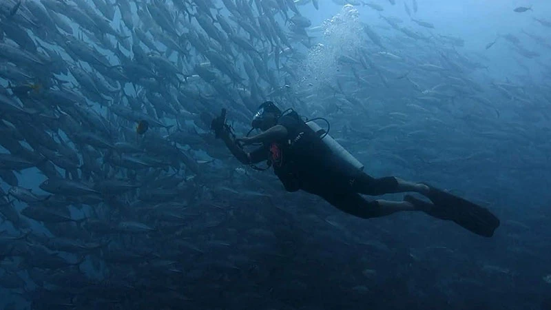 গভীর সমুদ্র জরিপে উন্মোচিত বাংলাদেশের নীল সীমানা, নতুন প্রাণের সন্ধান!