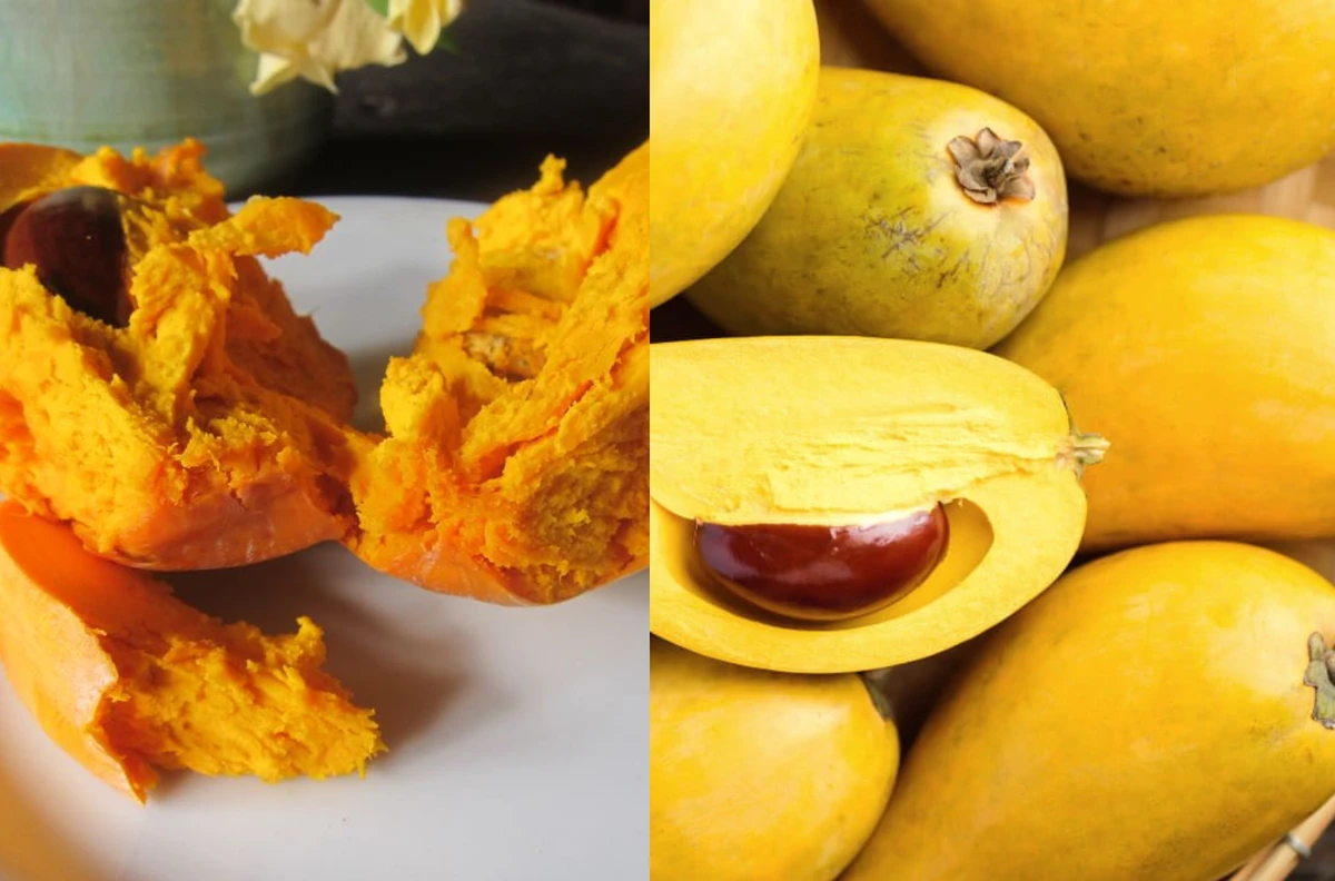 'Egg Fruit'-যে ফলের স্বাদ একদম সেদ্ধ ডিমের কুসুমের মতো! জানুন এই অদ্ভুত ফলের রহস্য!