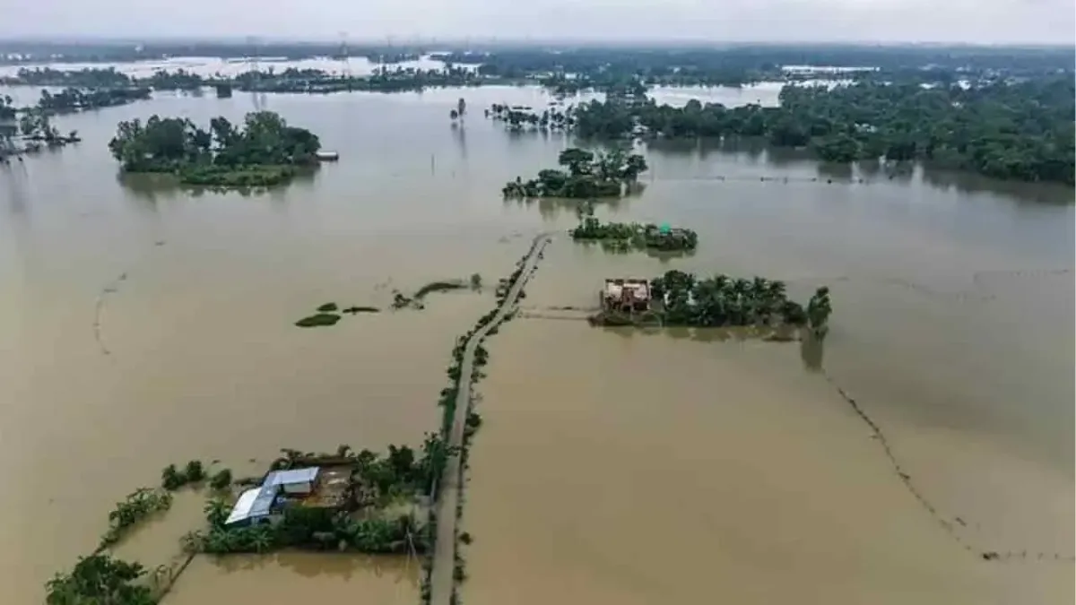 পত্রিকা