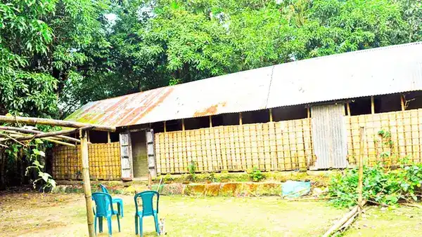 পত্রিকা