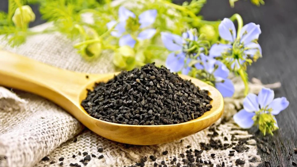 রান্নাঘরেই আছে শীতের সব রোগের 'মহৌষধ'! চিনে নিন কালো হীরাকে