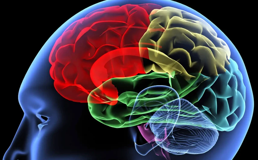 আপনার মনের ছবিই কি ভবিষ্যত বদলে দিতে পারে?জানুন Visualization Techniques এর জাদু !