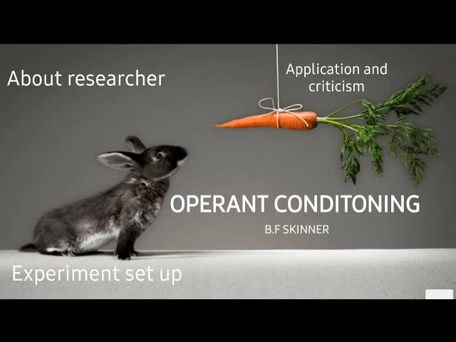 Reward না Punishment-কোনটা মানুষকে দ্রুত শিখায়? মনোবিজ্ঞানে মিলছে চমকানো ফলাফল!