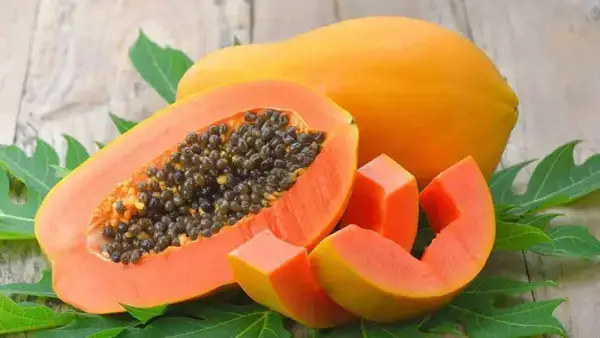 গ্যাস, অম্বল, কোষ্ঠকাঠিন্যে পেঁপে কতটা কার্যকর?