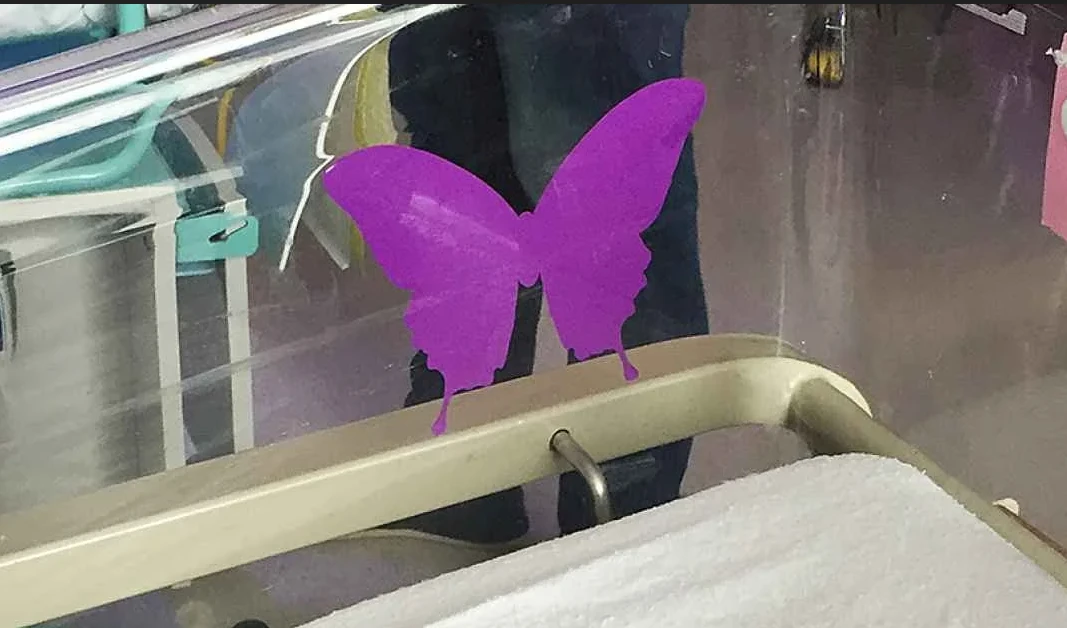 হাসপাতালের নবজাতকের পাশে বেগুনি প্রজাপতি! এর অর্থ জানেন কি?