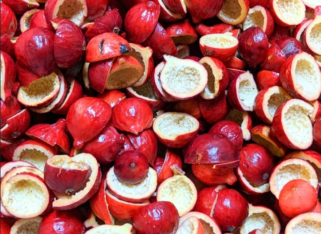 দৃষ্টি রক্ষা থেকে রোগ প্রতিরোধ, এক সমাধানেই দ্বিগুণ লাভ!