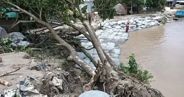 রাজবাড়ীতে পদ্মার ভাঙনে হুমকির মুখে সবগুলো ফেরিঘাট