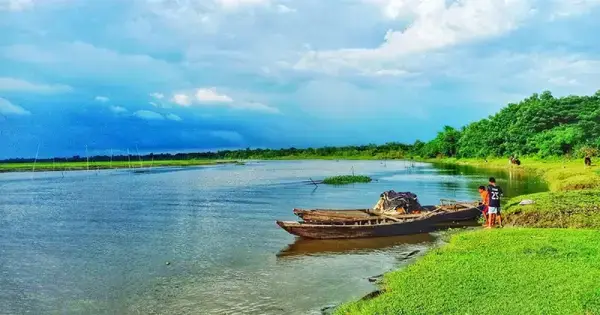 পত্রিকা