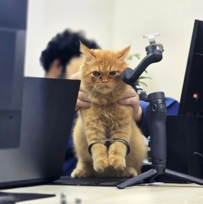 পত্রিকা