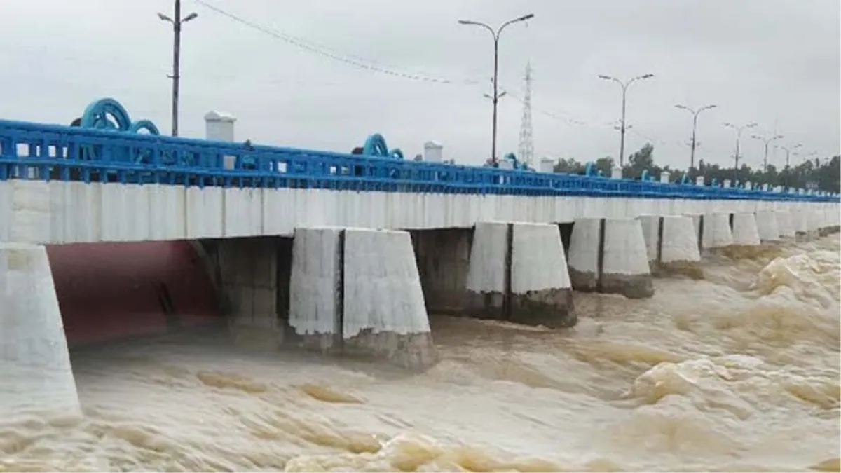 পত্রিকা