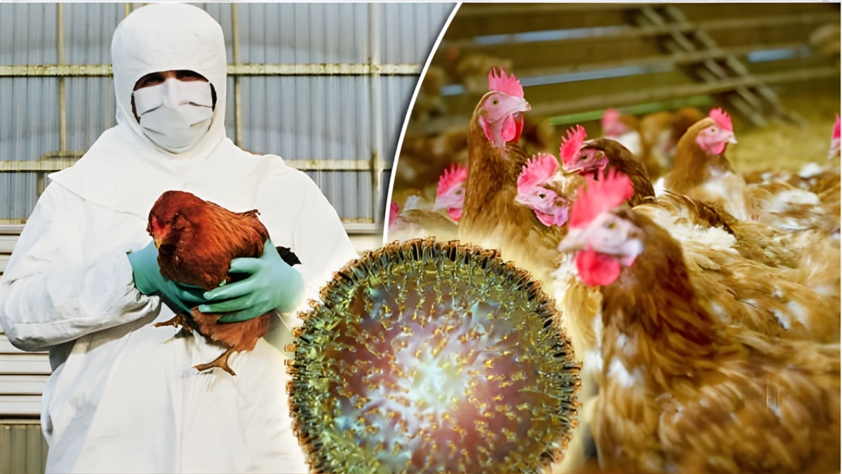 কোভিডের চেয়েও ভয়ঙ্কর মহামারীর সম্ভাবনা