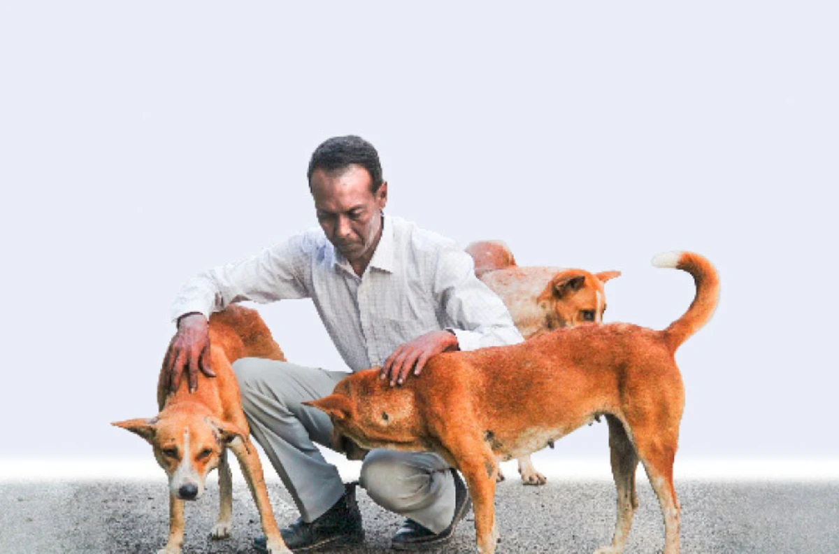 মালিককে দেখলেই কেন লেজ দুলায় কুকুর!চমকপ্রদ কারণ উন্মোচন