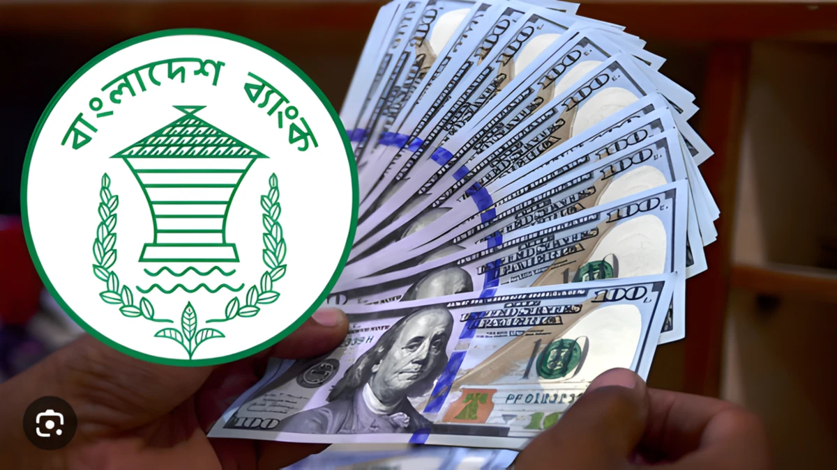 ডলার বাজারে কেন্দ্রীয় ব্যাংকের সক্রিয় ভূমিকা, পাঁচ মাসে কেনা আড়াই বিলিয়ন ডলার