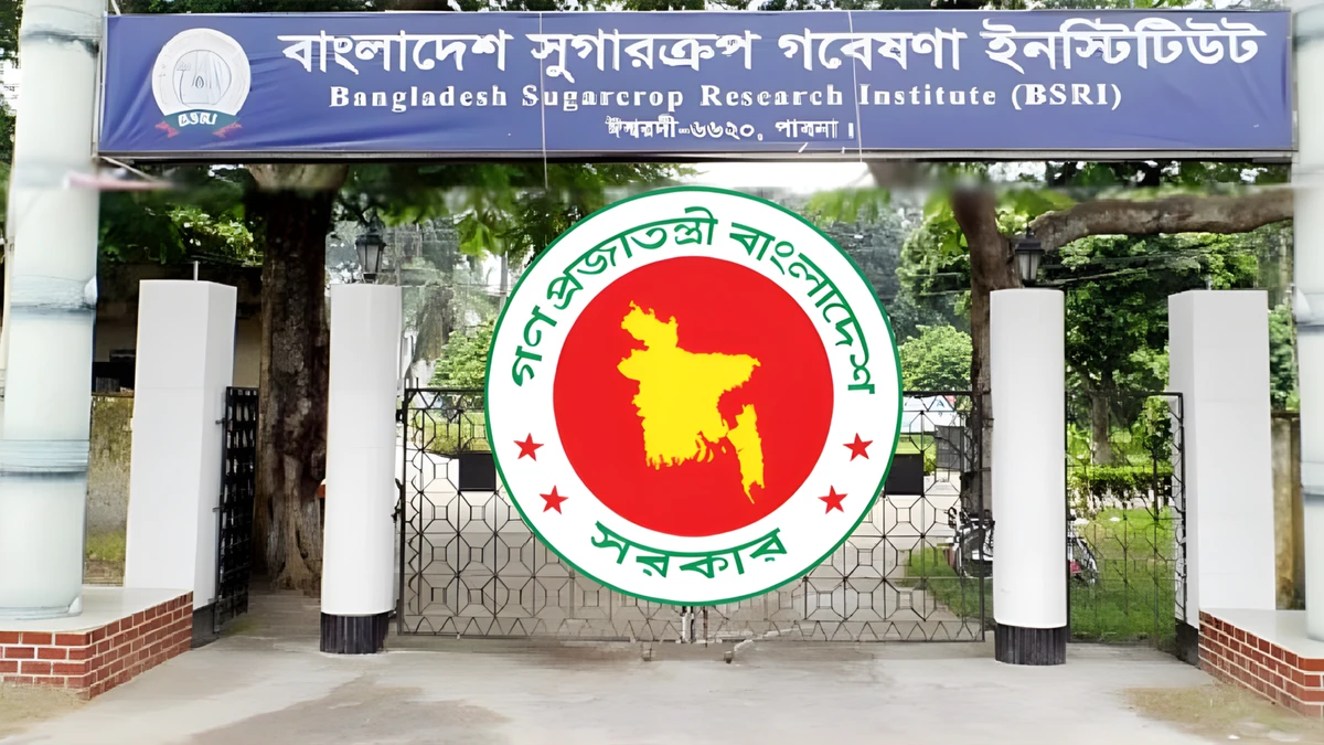 বাংলাদেশ সুগারক্রপ গবেষণা ইনস্টিটিউটে ৫৫ জনের বিশাল নিয়োগ, আবেদন শুরু