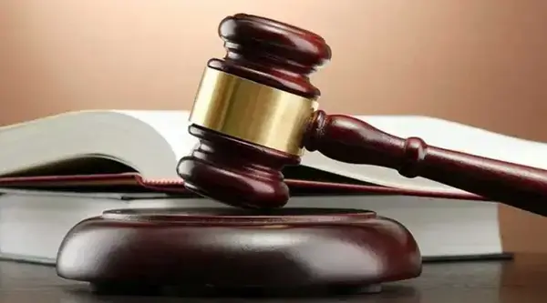 অনলাইন পর্নোগ্রাফি চক্র শনাক্তে মামলার নির্দেশ দিলো আদালত