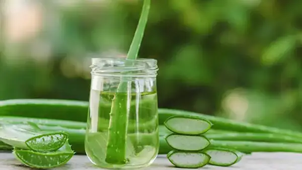 পত্রিকা