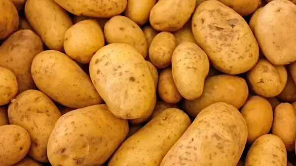 দিনাজপুরের আলু বিদেশে রপ্তানি, লাভবান কৃষক