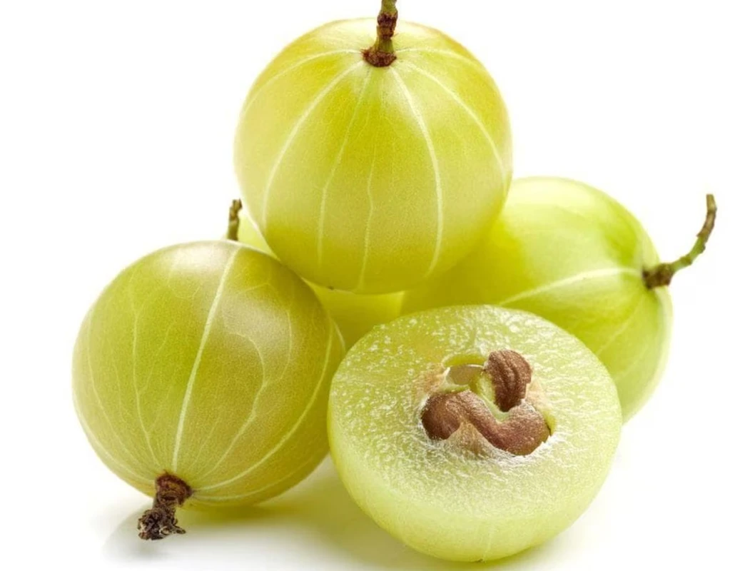 প্রাকৃতিক রোগপ্রতিরোধক! জানুন কেন আমলকি আয়ুর্বেদে অমৃতের মতো গুরুত্বপূর্ণ