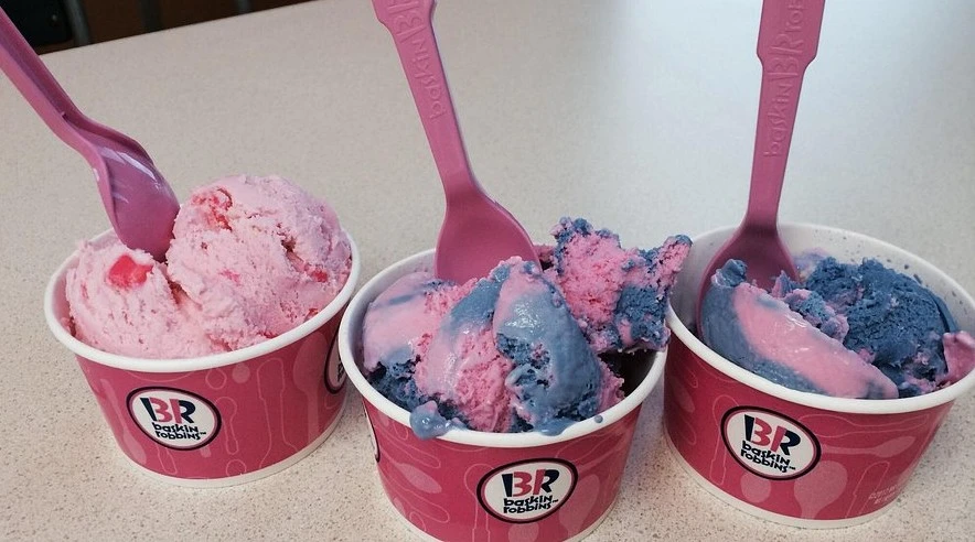 এবার বাংলাদেশে আসছে বিশ্ববিখ্যাত আইসক্রিম ব্র্যান্ড 'বাস্কিন-রবিনস'