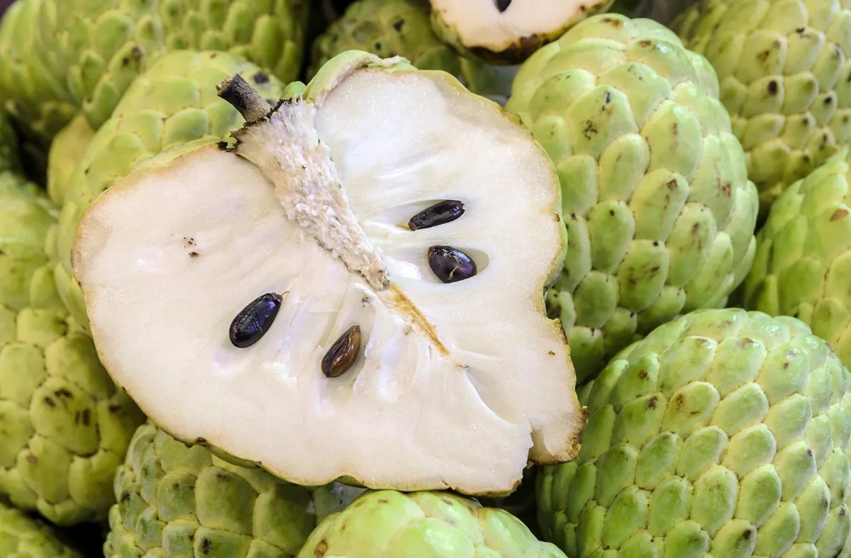 চেরিমোয়া:যে ফলে মুগ্ধ হয়েছিলেন মার্ক টোয়েন! জানুন এর মিষ্টতা ও পুষ্টির গোপন রহস্য