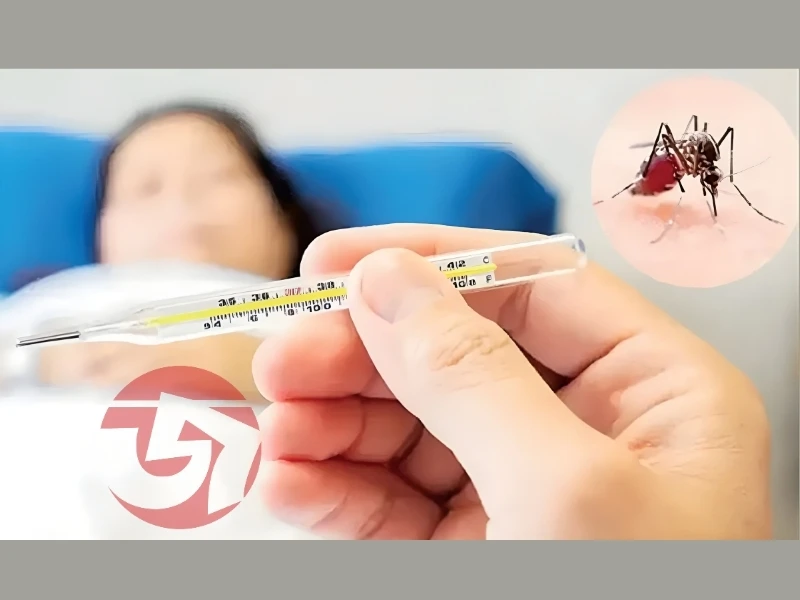 চিকুনগুনিয়া: হঠাৎ জ্বর, প্রচণ্ড ব্যথা! কারণ, উপসর্গ ও প্রতিকার জানুন একসাথে