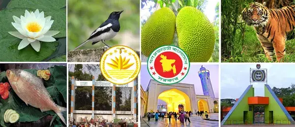 পত্রিকা