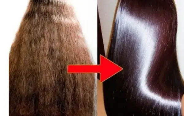 মাত্র দু'উপাদানেই জাদু!-সেলুনে হাজার টাকা খরচ না করেও চুল হবে ঘন আর চকচকে