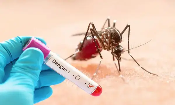 গত ২৪ ঘণ্টায় ডেঙ্গুতে মৃত্যু ৩, হাসপাতালে নতুন ভর্তি ৭৩৫ রোগী