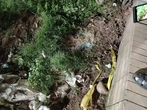 পত্রিকা