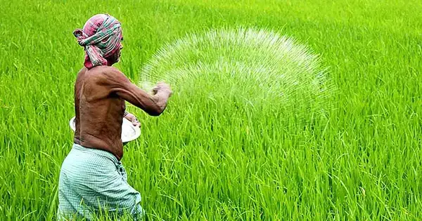 মানুষের সুস্বাস্থ্য এবং পরিবেশের নিরাপত্তার জন্য যে ধরনের ফসল উৎপাদন জরুরি- বিজ্ঞানভিত্তিক বিশ্লেষণ!