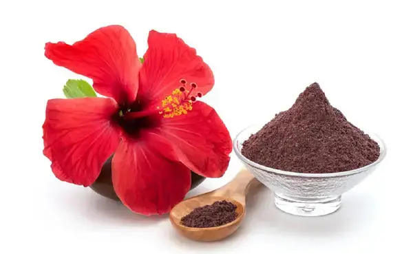 জবা ফুলের পাপড়ি দিয়ে চুলকে দিন প্রাকৃতিক যত্ন ও কোমলতা - সহজ ধাপগুলো জানুন!