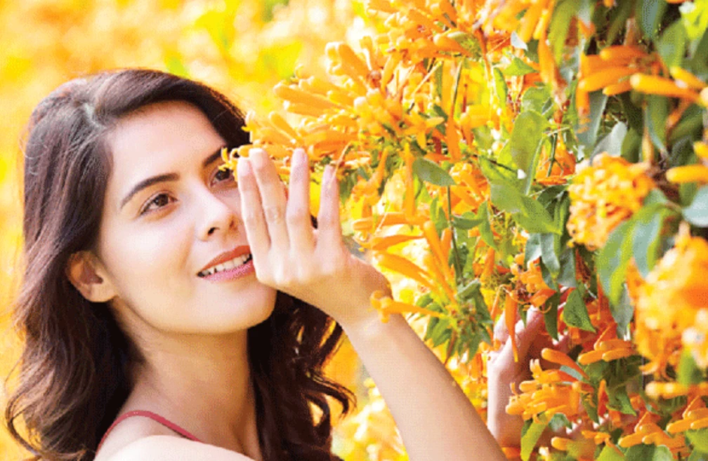 প্রতিদিন ফুলের রেণু খেলেই  মন ও শরীর হবে চাঙ্গা ও শক্তিশালী!