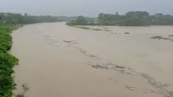 পত্রিকা