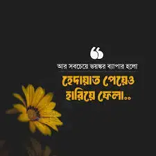 মানুষ হেদায়েত পাওয়ার পর তা হারিয়ে ফেলে কেন!!