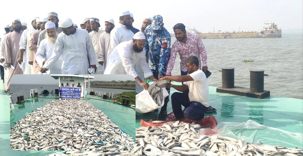 কোস্ট গার্ডের অভিযানে ৩৩ লক্ষ টাকা মূল্যের জাটকা জব্দ