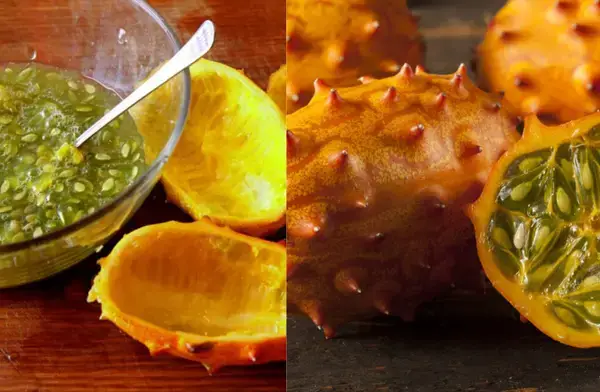 কাঁটার আড়ালে শক্তি ও পুষ্টি! জানুন দক্ষিণ আফ্রিকার exotic Kiwano ফলের স্বাস্থ্য জাদু