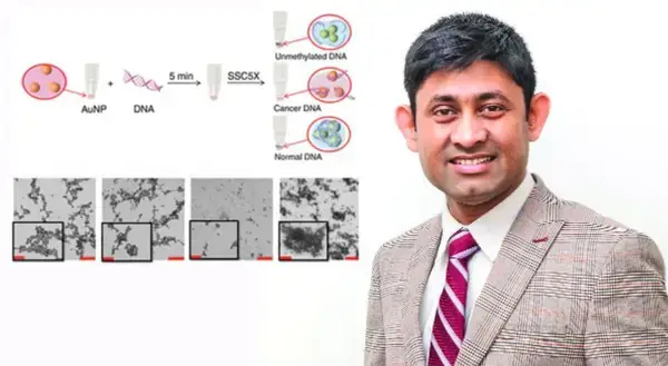 পত্রিকা