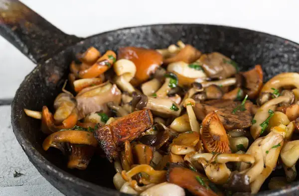 যে মাশরুম খুঁজে পাওয়া মানেই ভাগ্য ত্রিফেলা, ইটালিয়ান রন্ধনশিল্পের অমূল্য রত্ন !