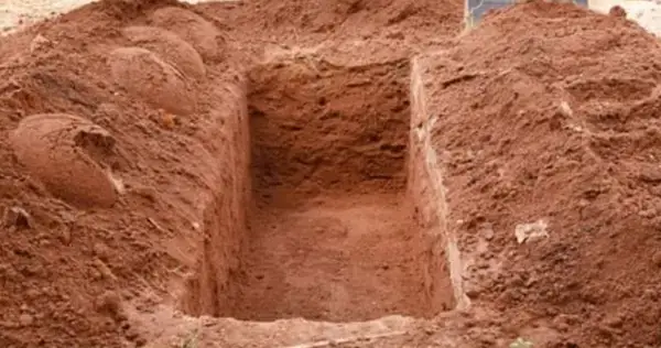 পত্রিকা