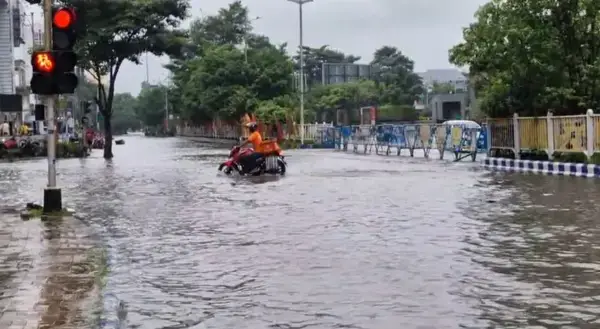 পত্রিকা