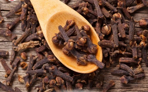 এক গোপন শক্তি লুকিয়ে আছে লবঙ্গে খাবার পর নিজেই বুঝতে পারবেন উপকারিতা