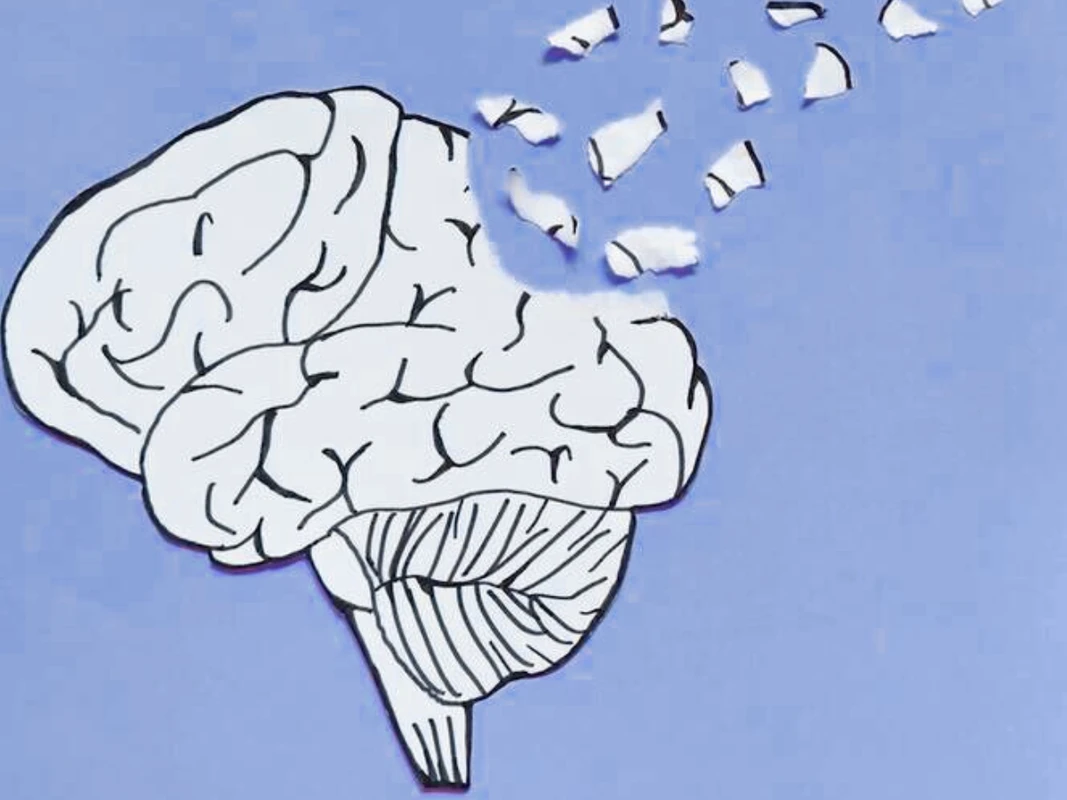 যে স্মৃতি আসলে কখনো ঘটেনি কিন্তু মনে আছে স্পষ্ট! জানেন কি এই ভ্রম কেমন করে তৈরি হয়?