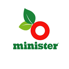 মিনিস্টারে চাকরি