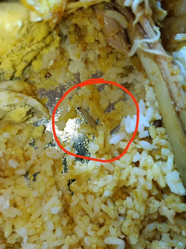 চট্টগ্রাম বিশ্ববিদ্যালয়ে সেমিনার লাঞ্চে পোকা